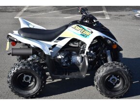 2022 Yamaha Raptor 90 for sale 201173325